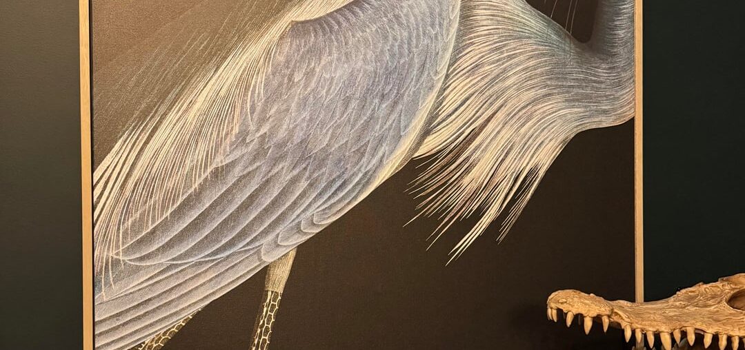 A couple vintage gems primed and ready to go A couple vintage gems primed and ready to go