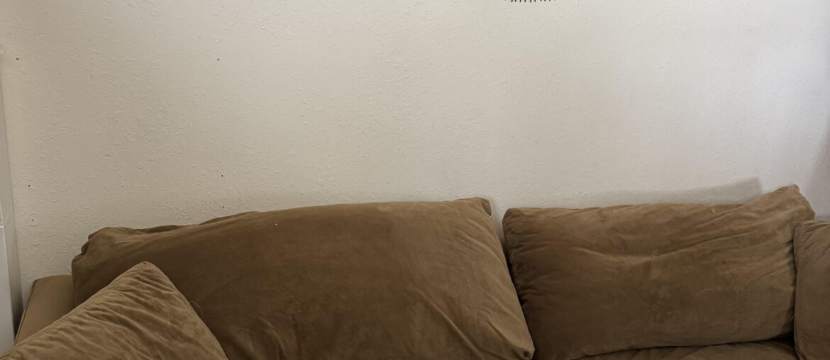 Sunburst birds for $7.50