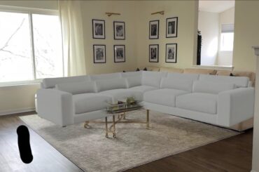 Help me pick new couch color and also, sectional or 2 separate sofas?