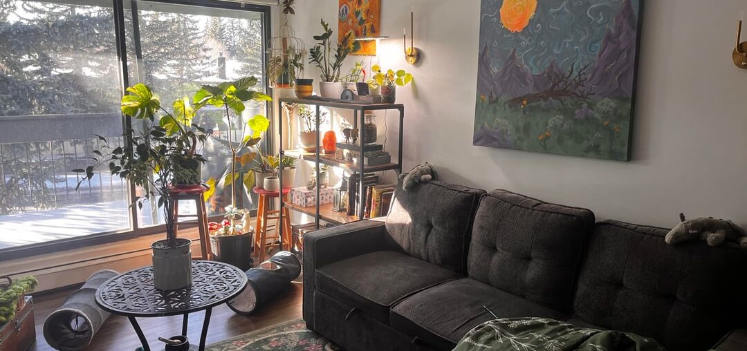 Just moved in and need help