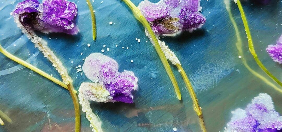 Violettes au sucre