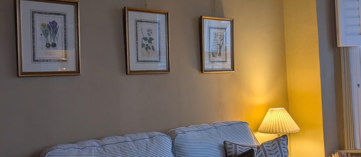 Are these pictures too high?