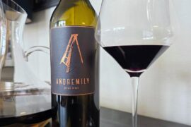 2020 Andremily Syrah Slide-Hill Estate