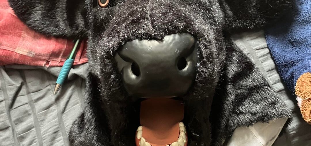 I have this fake bull head from an old Halloween costume I’d like to hang up on the wall. What would be the most optimal way to do so without it falling off constantly?