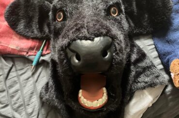 I have this fake bull head from an old Halloween costume I’d like to hang up on the wall. What would be the most optimal way to do so without it falling off constantly?