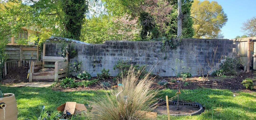 What would YOU do with your side of this cement wall?