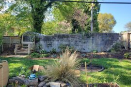 What would YOU do with your side of this cement wall?