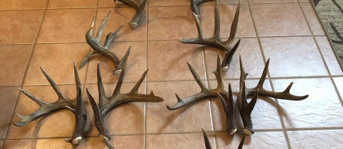 Canadian chocolate sheds which one would you pick?