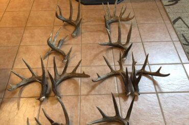 Canadian chocolate sheds which one would you pick?