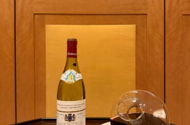 syrah and butt plug decanter