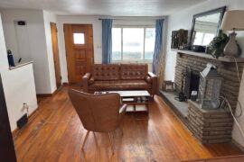 Window and Drape Ideas?