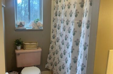 Which color should I paint this bathroom?