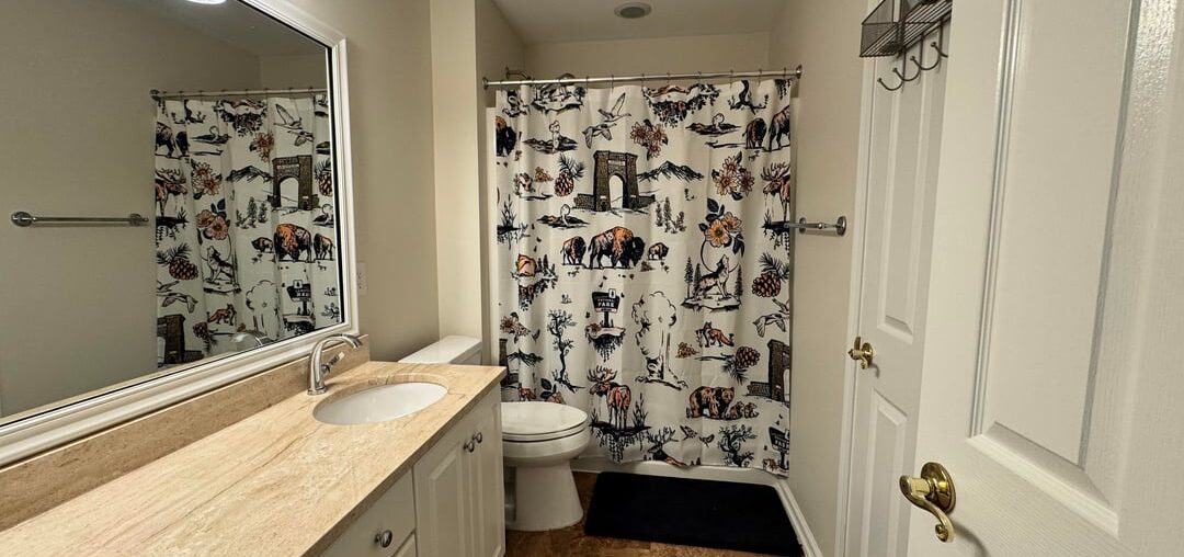 Suggestions on adding color to this bathroom from this palette?