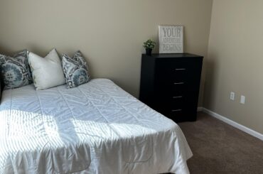 Help with furniture color