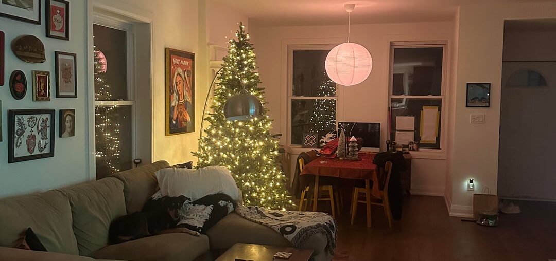 Please help me pick window coverings