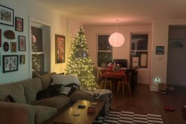 Please help me pick window coverings