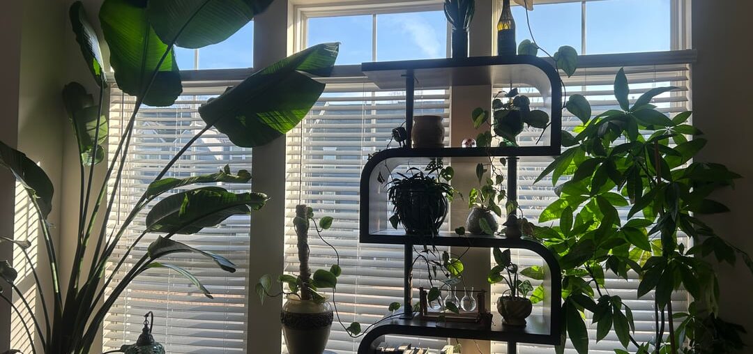 How can I improve my living room?