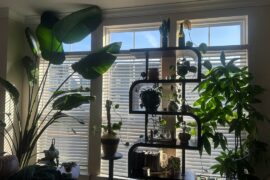 How can I improve my living room?