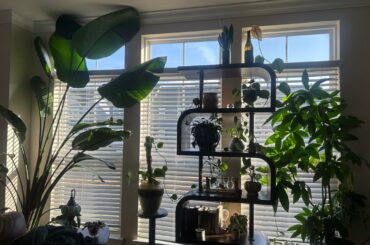 How can I improve my living room?