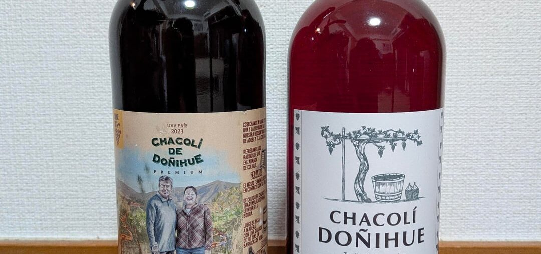 Txakoli (Chacolí) from Chile