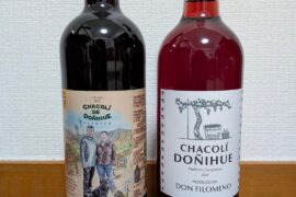 Txakoli (Chacolí) from Chile