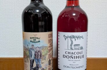 Txakoli (Chacolí) from Chile