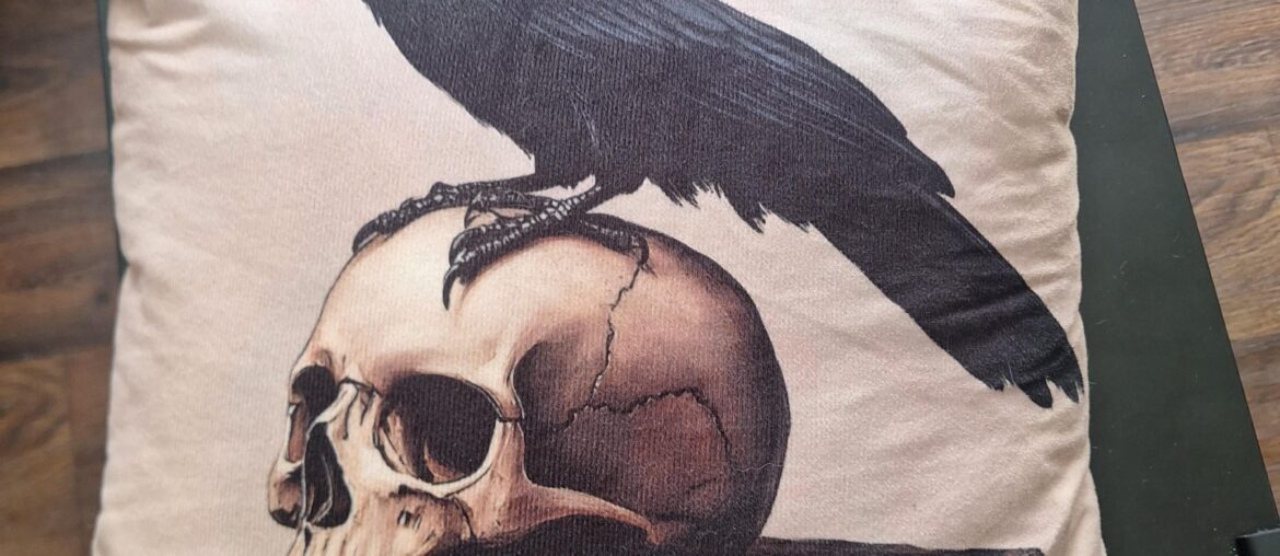 Need Help Finding Similar Throw Pillow Covers Need Help Finding Similar Throw Pillow Covers