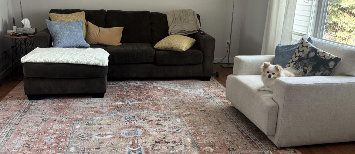 Update on vote, went with Rug 2!