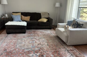 Update on vote, went with Rug 2!