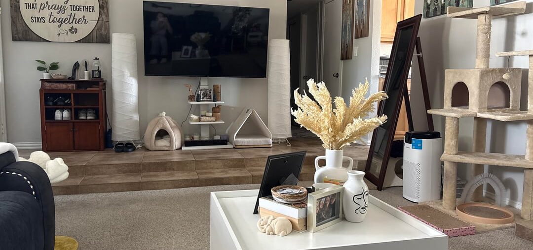 Before and after.. spring cleaning and got a free tv credenza today!