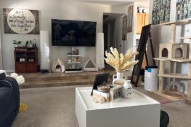 Before and after.. spring cleaning and got a free tv credenza today!