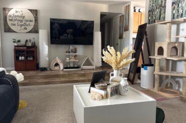 Before and after.. spring cleaning and got a free tv credenza today!