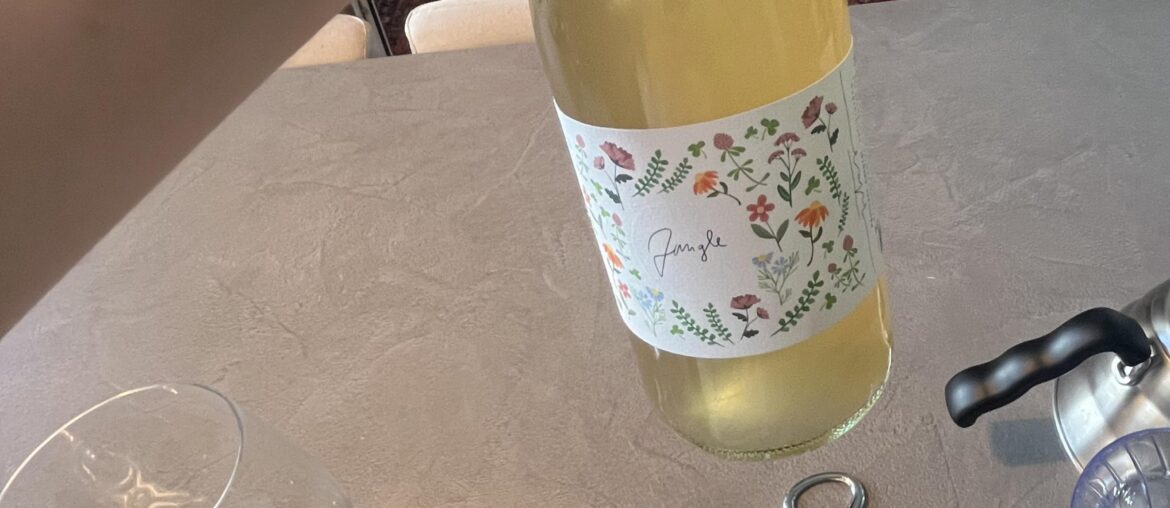 Jungle/Léto pét nat by Vitas Winery from moravia Jungle/Léto pét nat by Vitas Winery from moravia