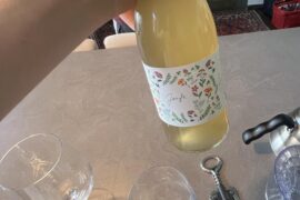 Jungle/Léto pét nat by Vitas Winery from moravia