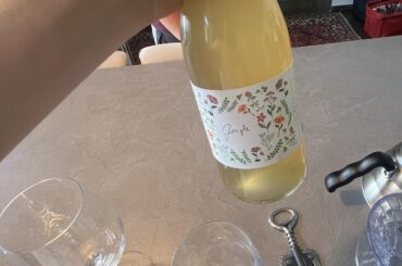 Jungle/Léto pét nat by Vitas Winery from moravia