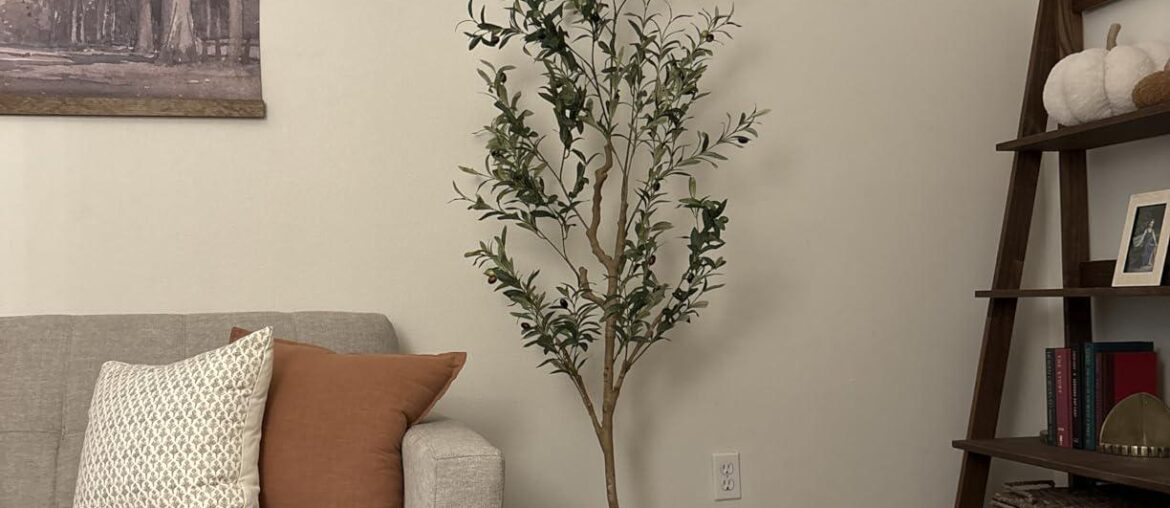 How can I add to this empty corner? Floor lamp？