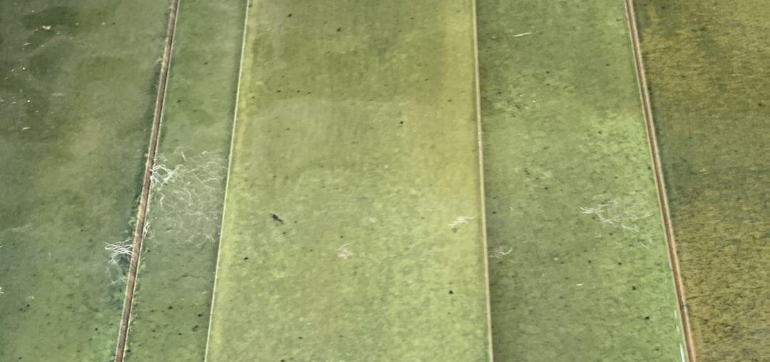 Tile choice for backsplash