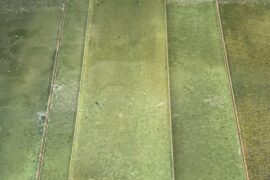 Tile choice for backsplash