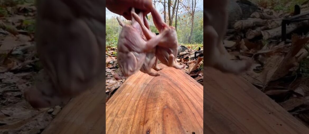 Cheesy Mushroom Quail 😳🔥 | Gourmet Delight #shorts