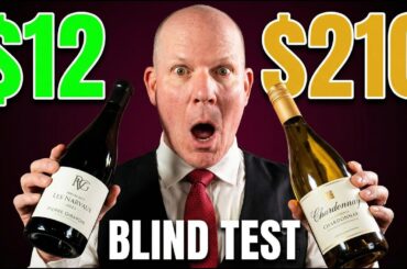 $210 Meursault vs $12 Kendall Jackson Chardonnay — Sommelier Blind Test SHOCKING Result