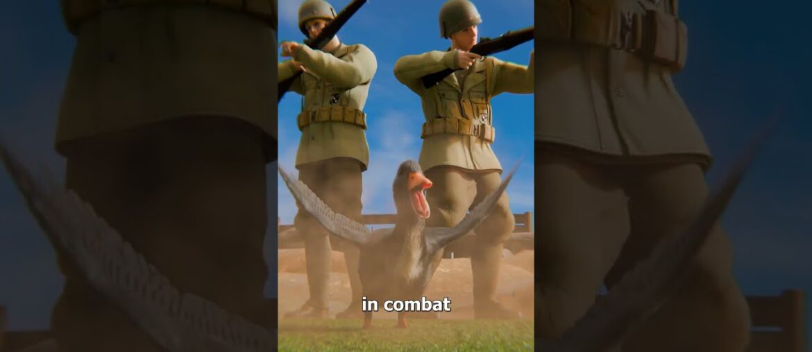 The Military Duck That Fought In Combat 😨