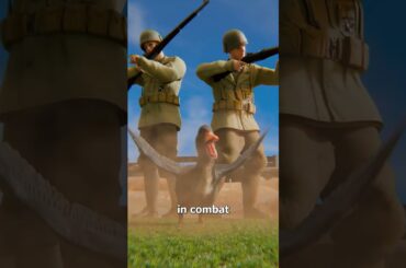 The Military Duck That Fought In Combat 😨