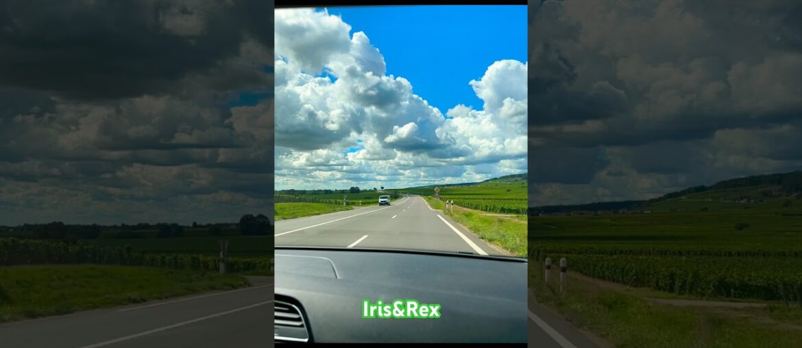 Burgundy driving log #travel #france Iris & Rex Blog