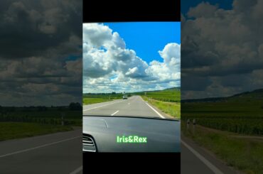 Burgundy driving log #travel #france Iris & Rex Blog