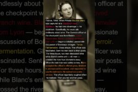 He Kept a Nazi Officer Talking for 3 Hours So His Unit Could Escape | Military History Talks