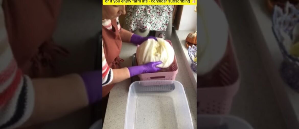 Ukrainian french curd cheese in the UK/Simple Homemade Recipe #halfridgfarm #farming #cheesemaking