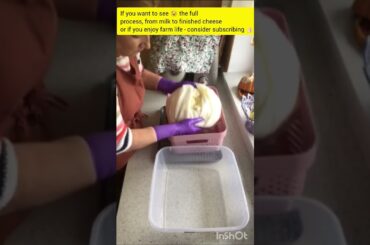 Ukrainian french curd cheese in the UK/Simple Homemade Recipe #halfridgfarm #farming #cheesemaking