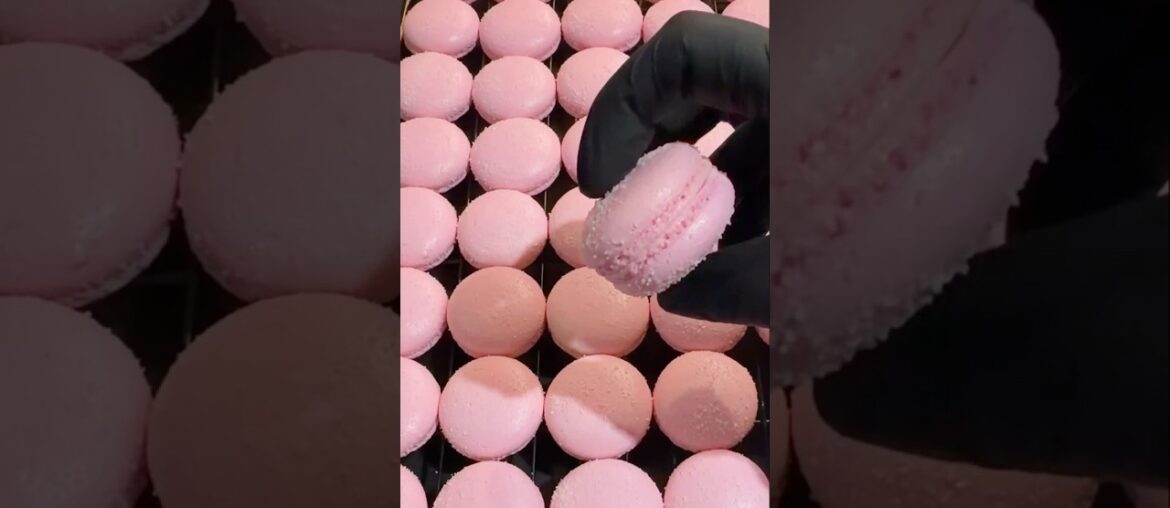 Pink French Macaron Texture ✨