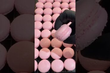 Pink French Macaron Texture ✨