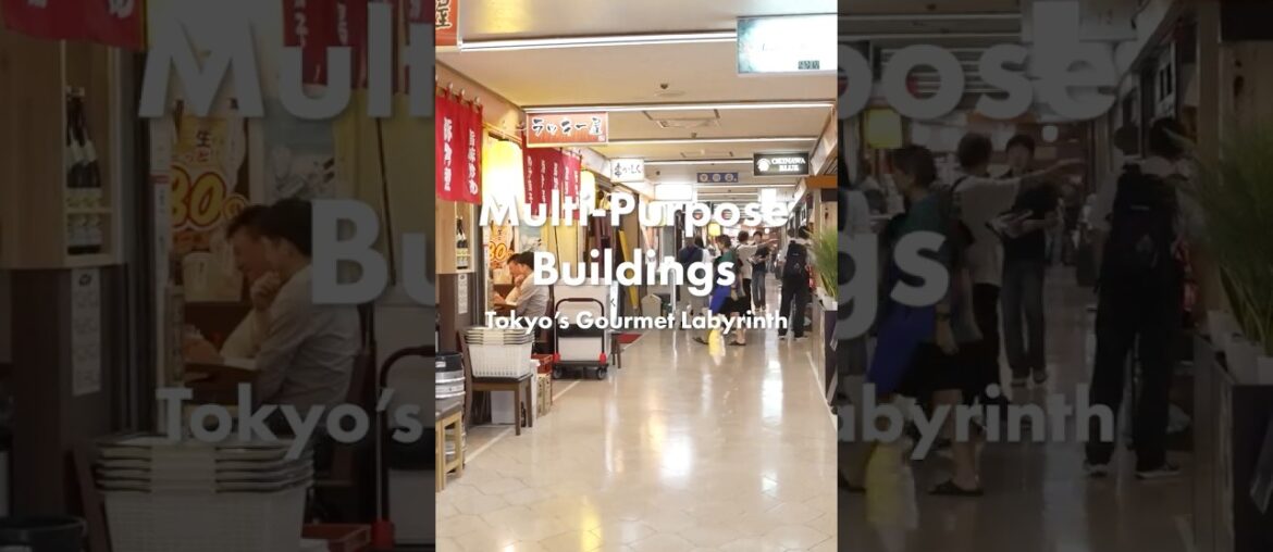 Tokyo’s Gourmet Labyrinth Inside Multi-Purpose Buildings